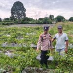 Monitoring Lahan Ketahanan Pangan, Polsek Kerumutan Dorong Produktivitas Pertanian