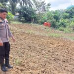 Dukung Ketahanan Pangan Nasional, Bhabinkamtibmas Tinjau Lahan Produktif di Pangkalan Lesung