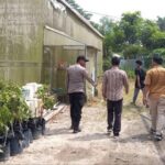 Bhabinkamtibmas Polsek Ukui Tinjau Green House Santri