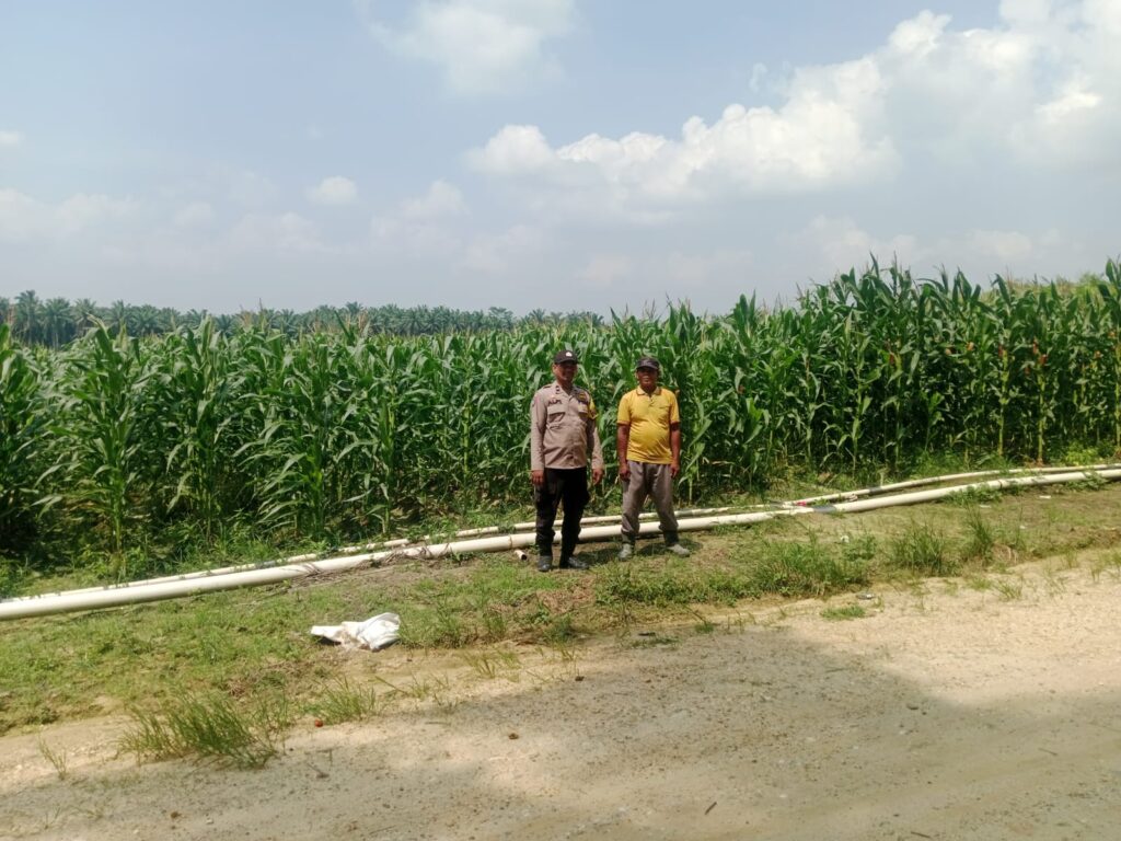 IMG-20260729-WA0045