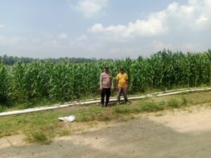 IMG-20260729-WA0045